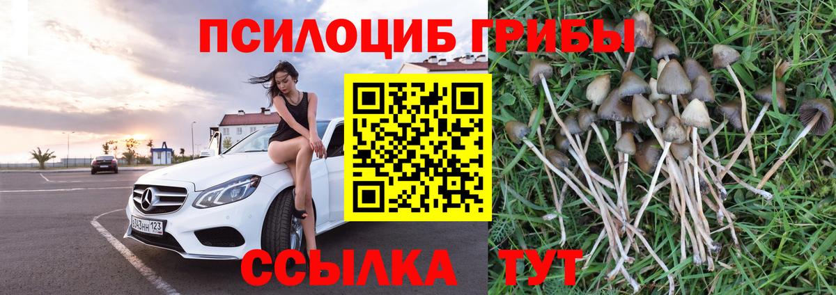 Йошкар-Ола  Галлюциногенные грибы мухоморы  Вход с VPN 